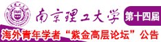 干死日本B南京理工大学第十四届海外青年学者紫金论坛诚邀海内外英才！